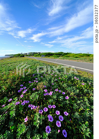 台湾 旅行 カジュアル 36032377