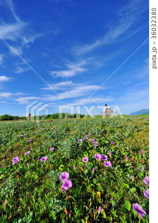 台湾 旅行 カジュアル 36032380