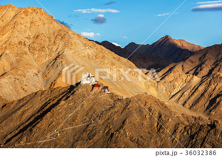 Namgyal Tsemo gompa and fort. Ladakh, India 36032386