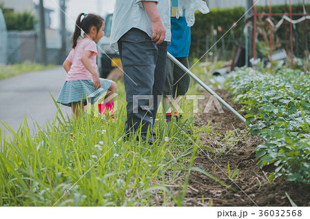 farming farming 36032568