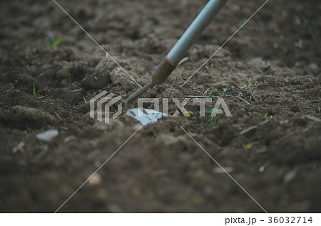 farming farming 36032714