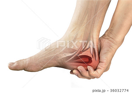 heel muscle pain heel muscle pain 36032774