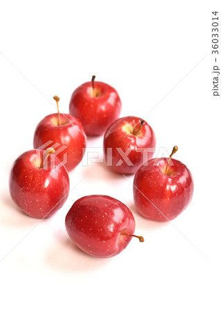 リンゴ（アルプス乙女） 36033014