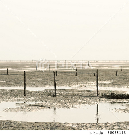 台湾 海沿い 沿岸 36033118