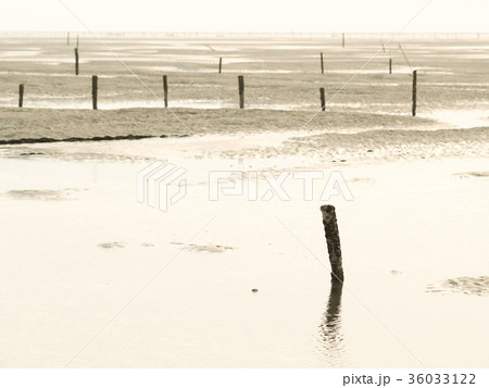 台湾 海沿い 沿岸 36033122