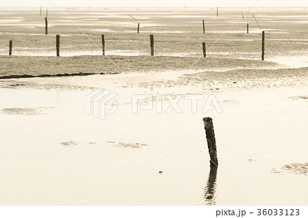 台湾 海沿い 沿岸 36033123