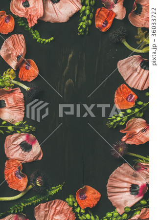 Pink and red flower petals, branches and leaves 36033722