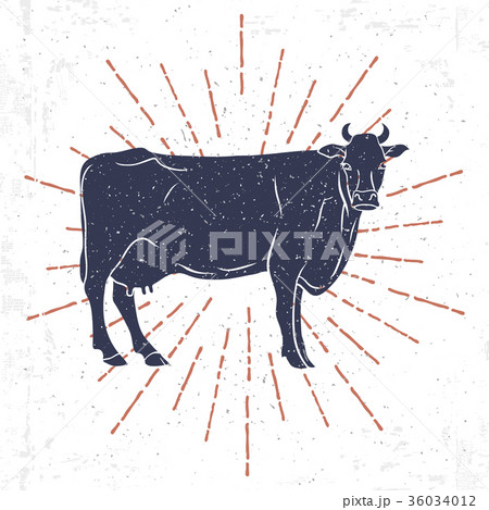 Cow Silhouette with vintage sunburst isolated on Cow Silhouette with vintage sunburst isolated on 36034012