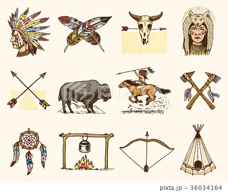 indian or native american. buffalo, axes and tent 36034164