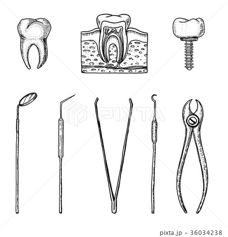 instruments equipment of the dentist for teeth 36034238