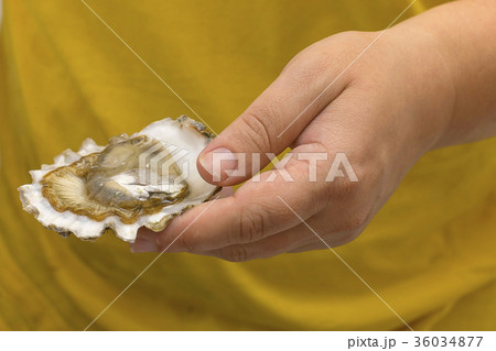 oyster from the sea close-up 36034877