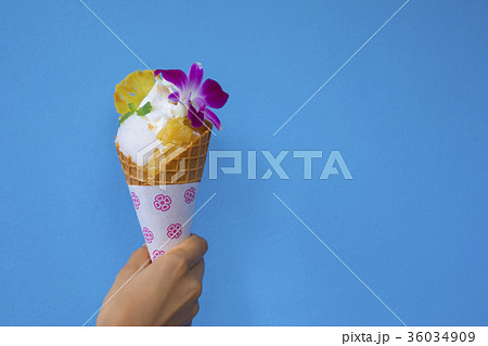 スイーツを持つ手 スイーツを持つ手 36034909