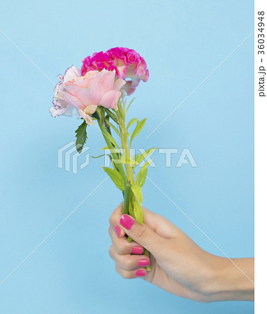 花を持つ手の写真素材