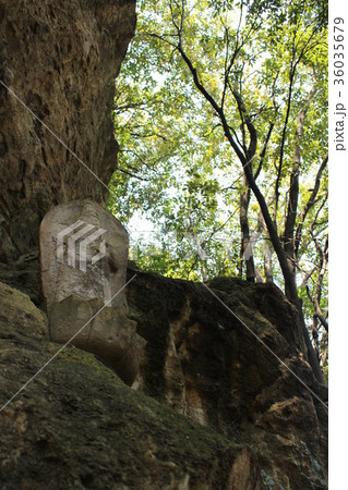 群馬県甘楽町の長厳寺(連石トレイルコース) 群馬県甘楽町の長厳寺(連石トレイルコース) 36035679