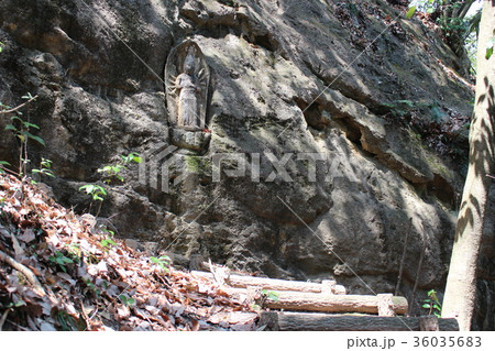 群馬県甘楽町の長厳寺（連石トレイルコース） 36035683