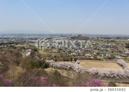 群馬県甘楽町の長厳寺（連石トレイルコース） 36035692