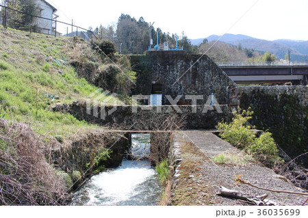 雄川堰取水口（群馬県甘楽町） 36035699