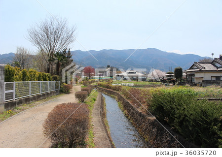 雄川堰遊歩道（群馬県甘楽町） 36035720