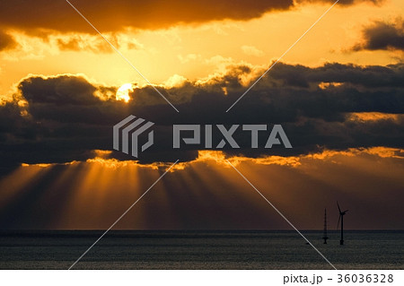 朝陽と海 36036328