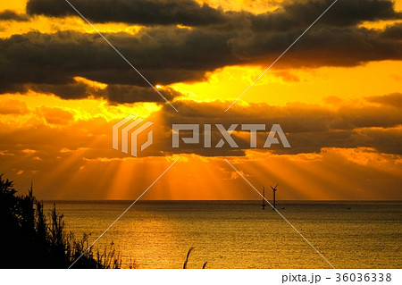 朝陽と海 36036338