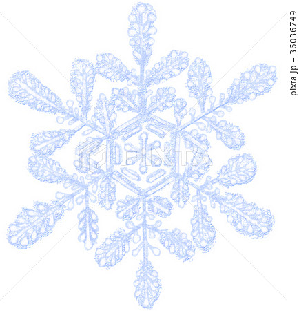 雪の結晶 36036749