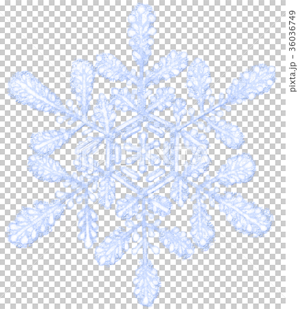 Crystal of snow Crystal of snow 36036749