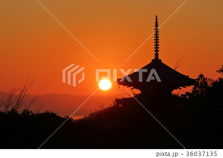 朝日と五重塔（高知市五台山） 36037135