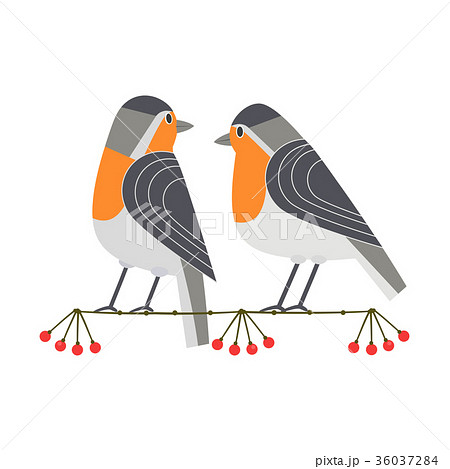 Cute robin icon 36037284