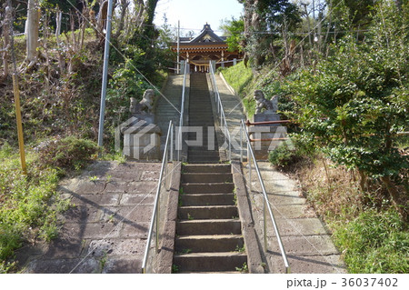 御霊神社 御霊神社 36037402
