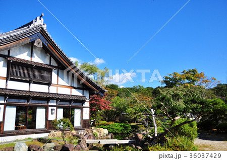 江戸以前の町並み 36037429