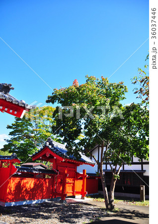 江戸以前の町並み 江戸以前の町並み 36037446