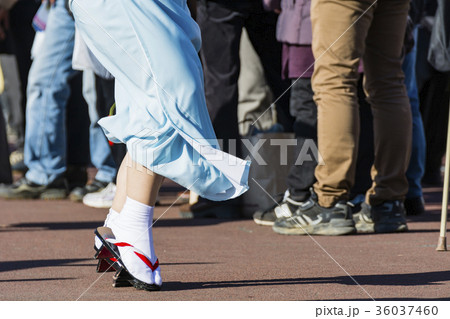 阿波踊り　秋の祭り 36037460