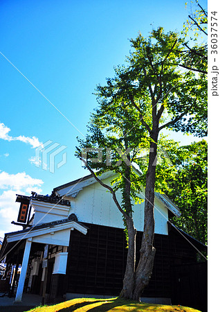 江戸以前の町並み 江戸以前の町並み 36037574