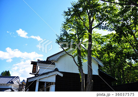 江戸以前の町並み 江戸以前の町並み 36037575