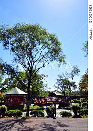 江戸以前の町並み 36037602