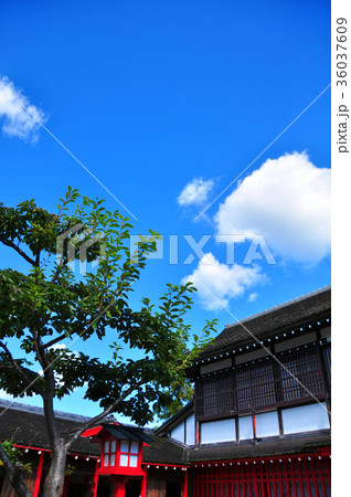 江戸以前の町並み 36037609