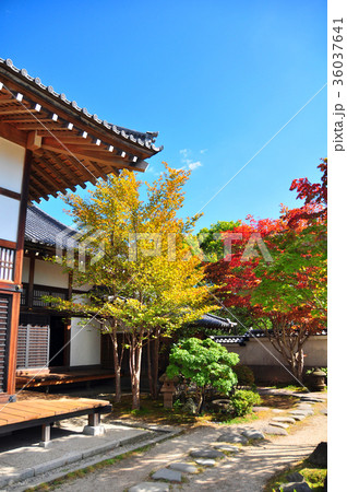 江戸以前の町並み 36037641