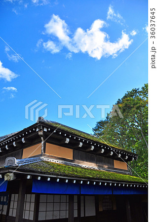 江戸以前の町並み 江戸以前の町並み 36037645