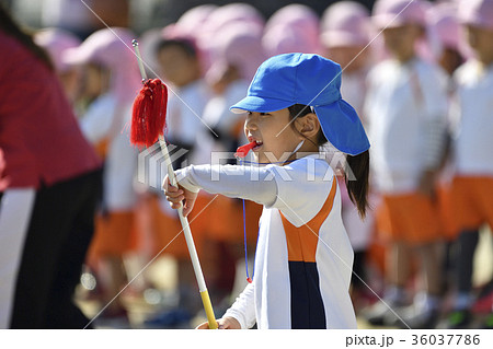 運動会 運動会 36037786