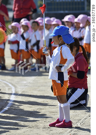 運動会 運動会 36037789