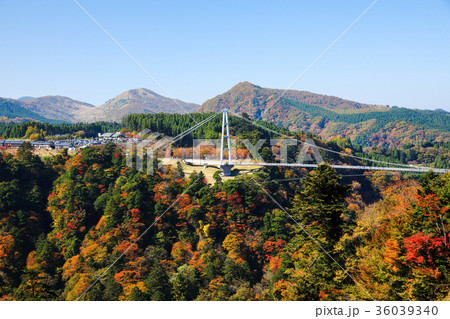 秋　紅葉と九重夢大吊橋　 36039340