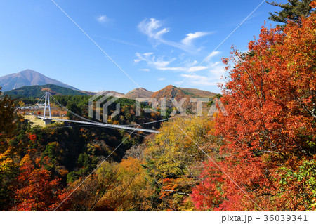 秋　紅葉と九重夢大吊橋　 36039341