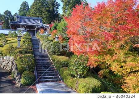 京都　秋の善峯寺　奥の院 36040224