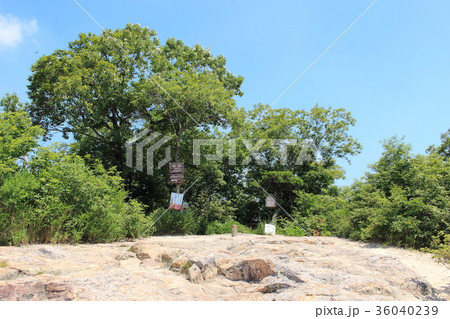 紅山山頂 36040239