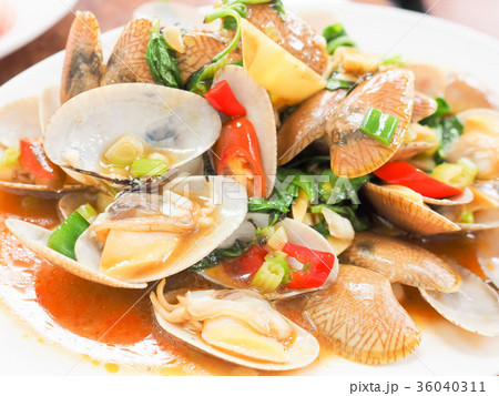 蛤 ハマグリ アサリ 36040311