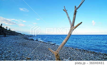 台湾 花蓮 東海岸 36040481