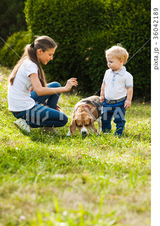 Girl plays with a dog Girl plays with a dog 36042189