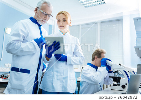 People of science consulting each other People of science consulting each other 36042972