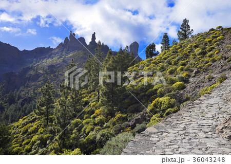 Hike to Roque Nublo in Gran Canaria. Spain. 36043248