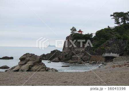 桂浜の風景 36043396